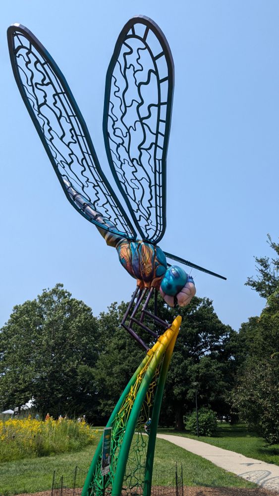 A blue and gold dragonfly sculpture with intricate metalwork wings sits perched on a huge bright green and yellow metal blade of grass. The gold stripes on the side of the dragonfly are sculpted to look like a frog and a bird (maybe a kingfisher?). 

A path runs to the right of the sculpture and disappears around a bend under a group of large trees.