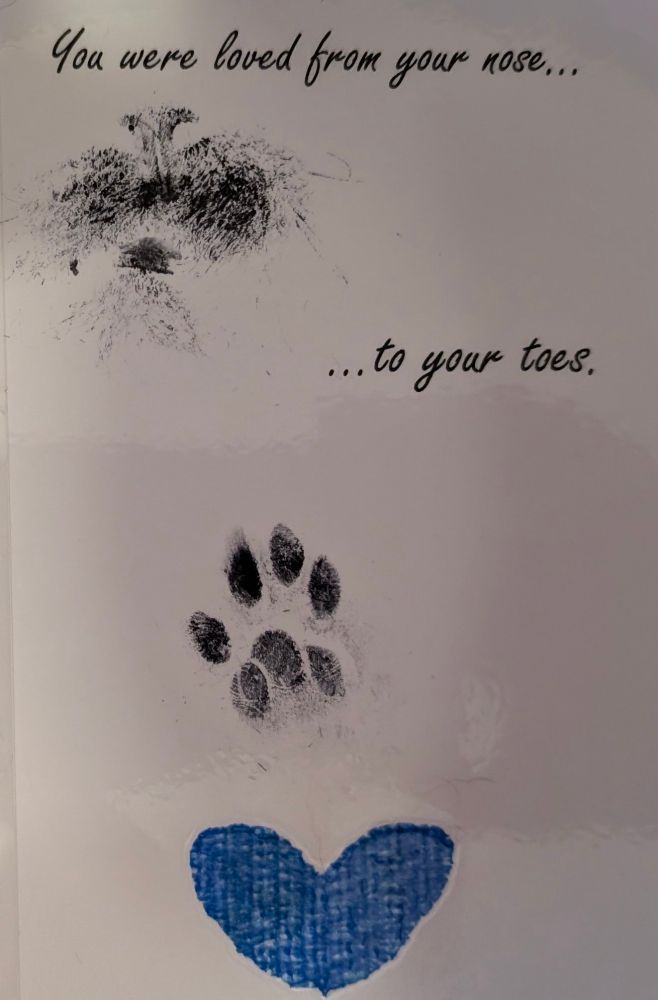 Card with a cat's nose print and paw print with a blue heart. The card reads: "You were loved from your nose... ...to your toes".
