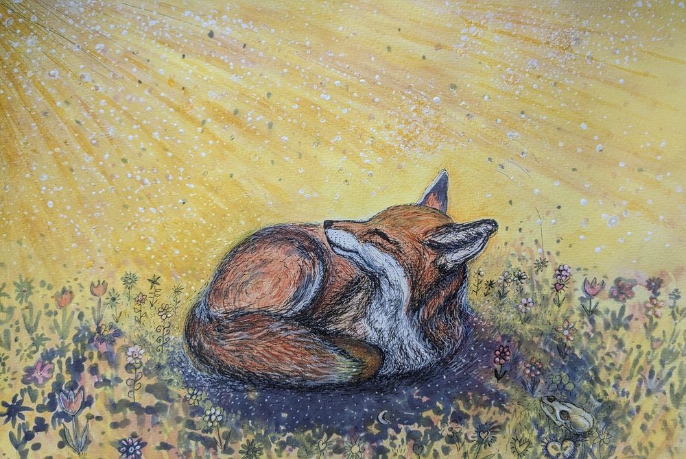 a fox curled up and looking up to the upper left corner, beams of sunlight and dustmotes floating in the rays. Fox surrounded in flowers, at the corner bottom right there are a fox skull and a fossilized heartshaped sea urchin. Mixed media, black fineliner, yellow turmeric ink, purple shadows in blackberry ink, watercolour paints, Maria Strutz 