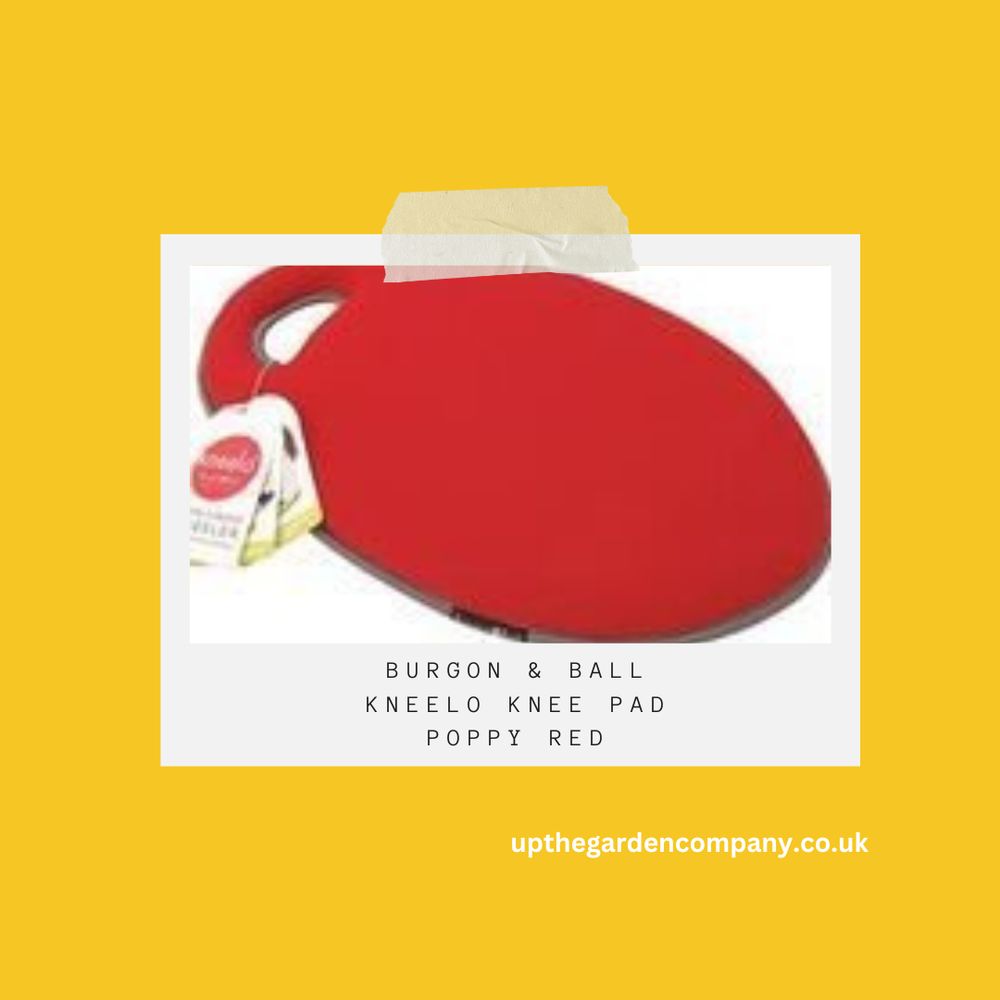 Burgon and Ball.
Kneelo Knee Pad.
Poppy Red.
upthegardencompany.co.uk