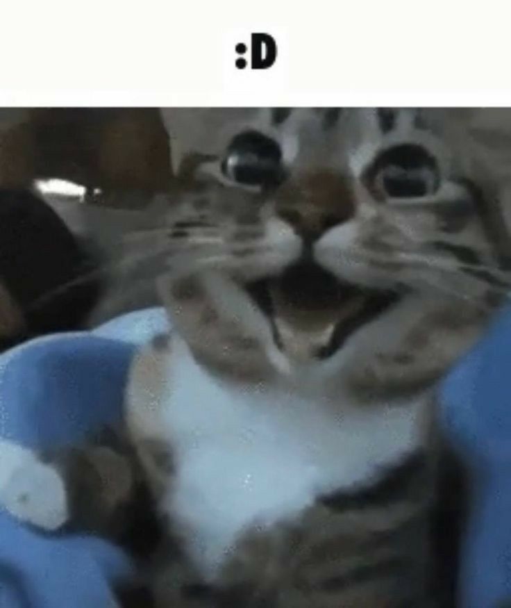 Comment image