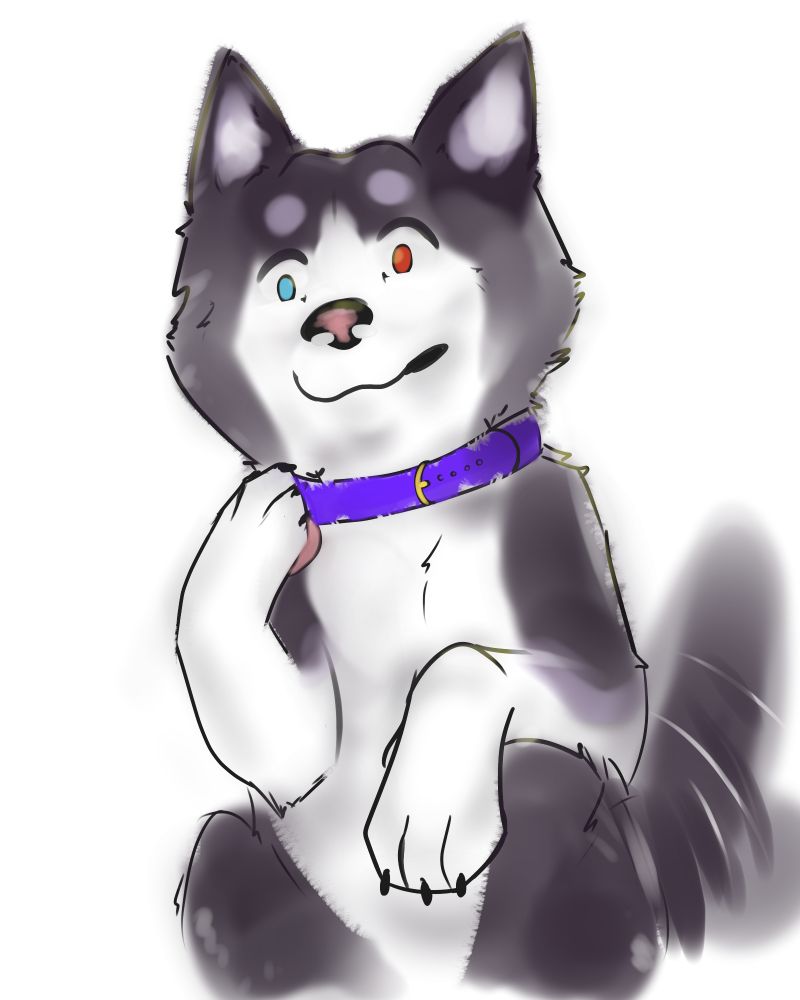 Paco finds himself transformed into Waya by a magical collar. His tail is wagging, he totally loves this. Aruff!