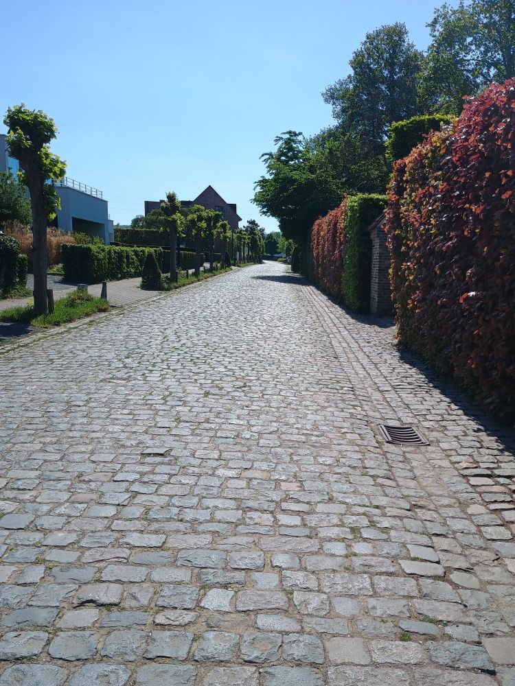 Cobbles on the flat bit of the Oude Kwaremont, from where I watched the race last year!