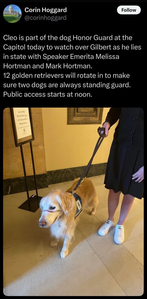 Corin Hoggard @corinhoggard tweeted a photo of a golden retriever named Cleo and this: 
Cleo is part of the dog Honor Guard at the Capitol today to watch over Gilbert as he lies in state with Speaker Emerita Melissa Hortman and Mark Hortman.
12 golden retrievers will rotate in to make sure two dogs are always standing guard.
Public access starts at noon.