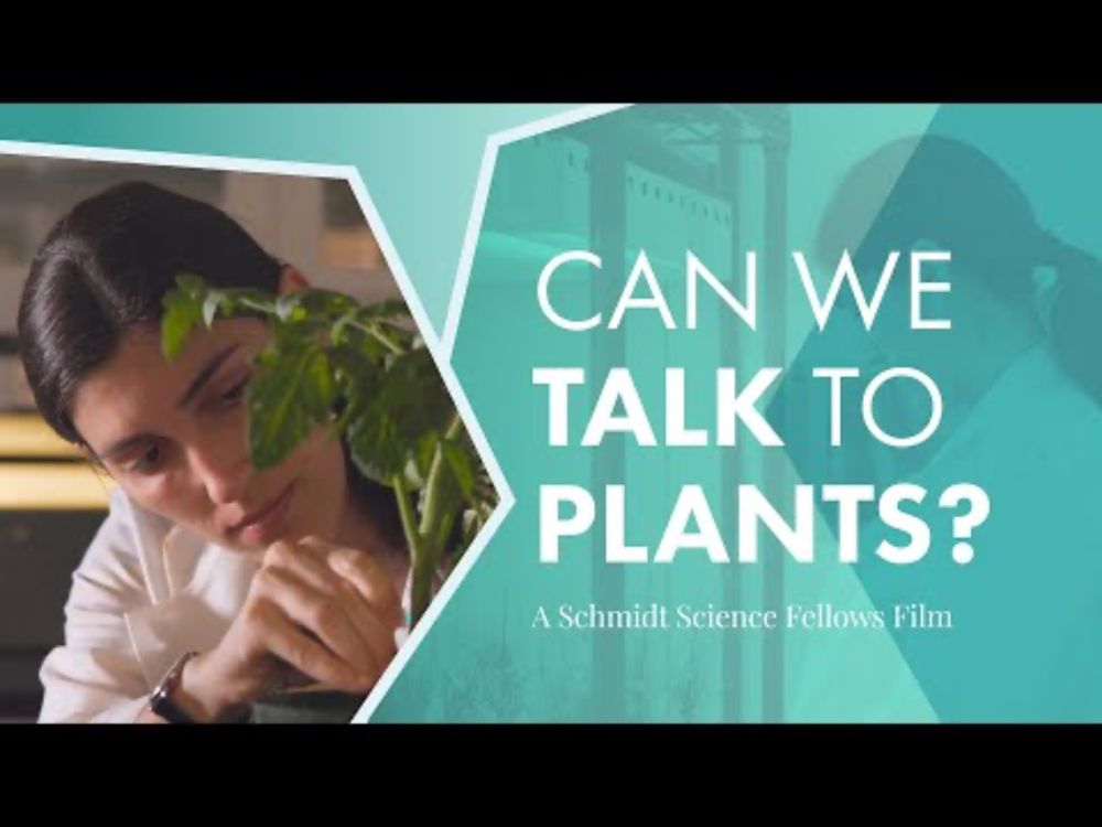 Schmidt Science Fellows | Vesna Bacheva