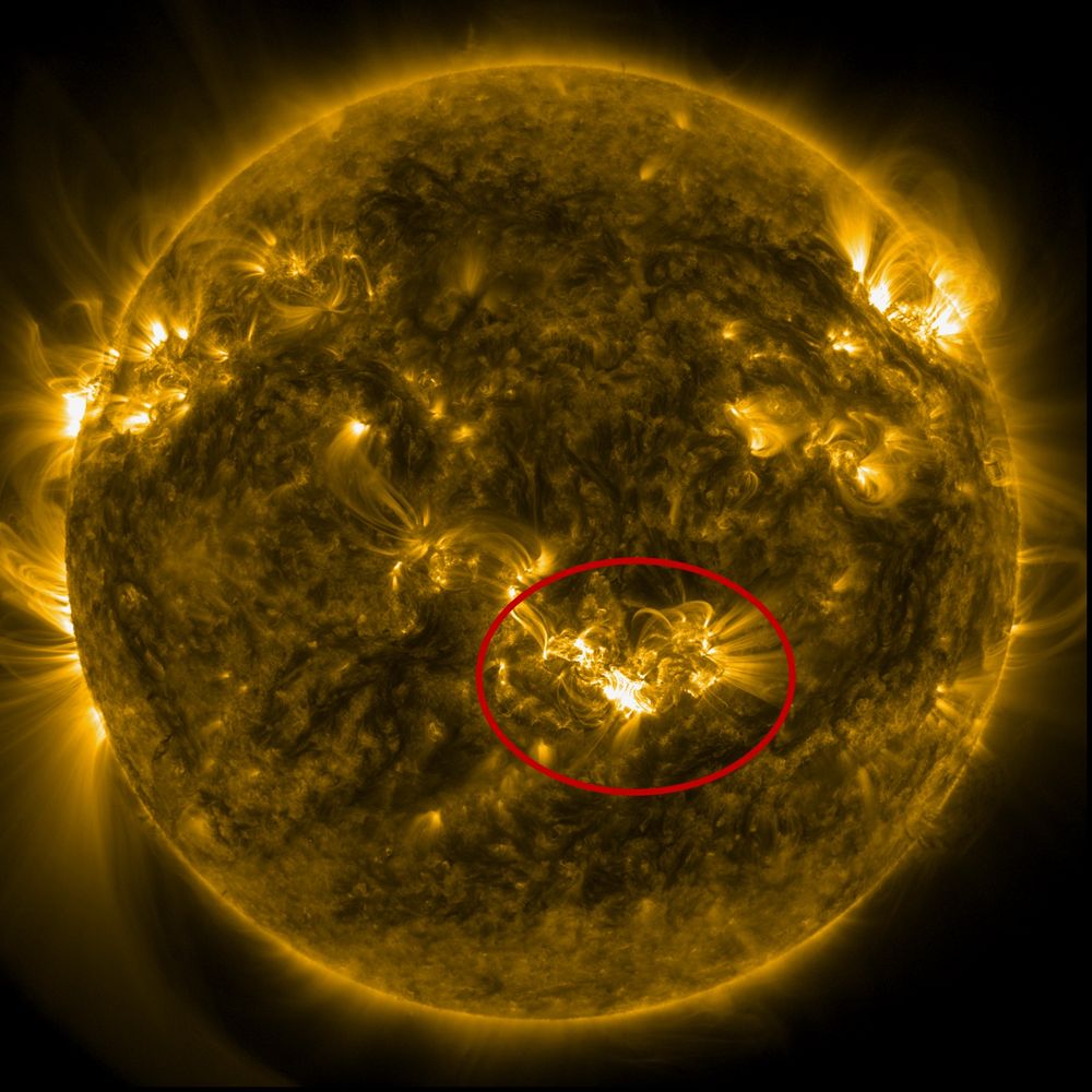 The solar source active region of the geomagnetic superstorm in May 2024