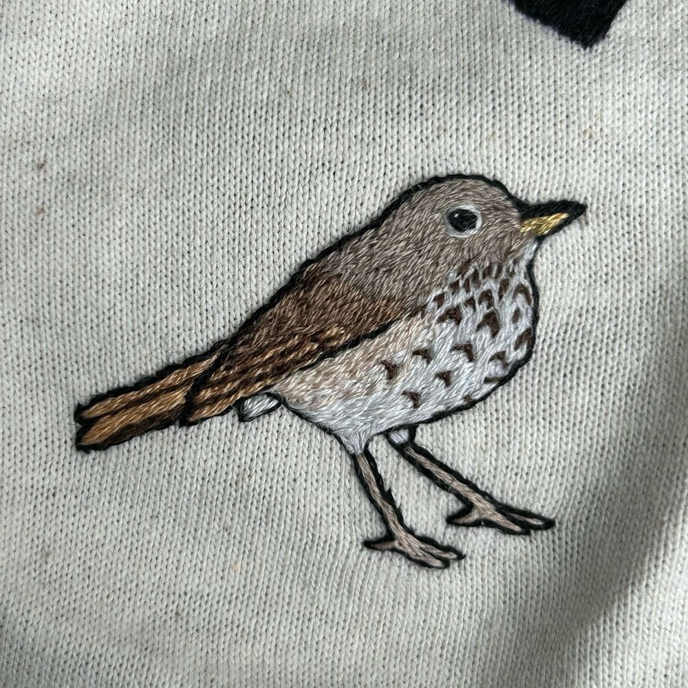 A hand embroidered hermit thrush on cream fabric 