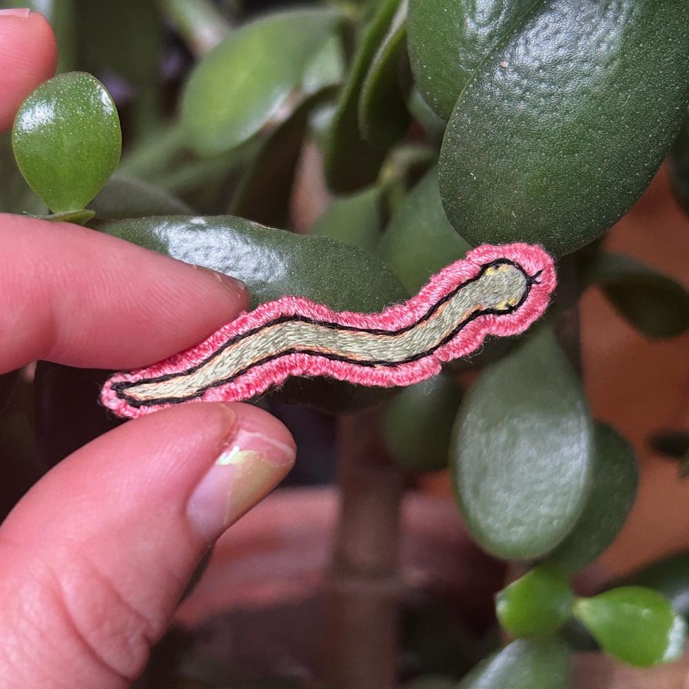 A small embroidered snake patch. The snake is green with yellow eyes, surrounded by a pink border. 