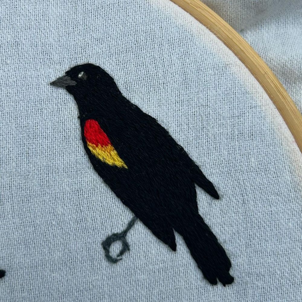 An embroidery of a red winged black 