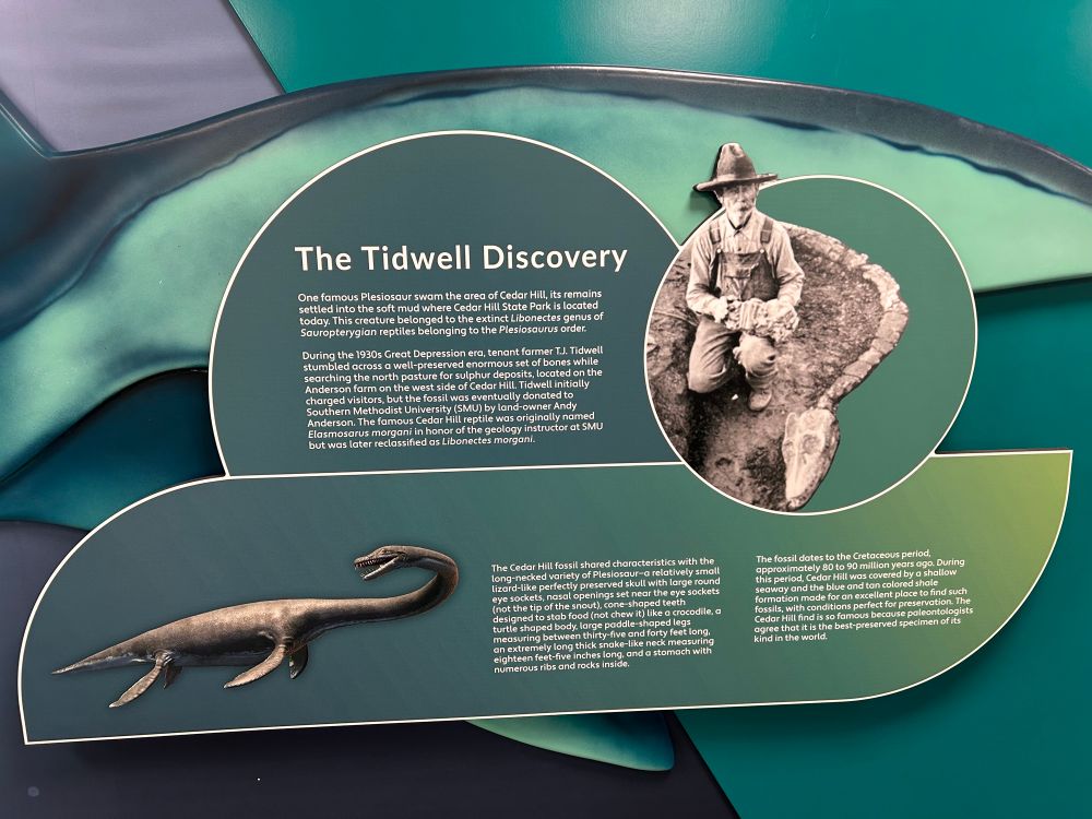A museum display about the discovery of the plesiosaur Libonectes.