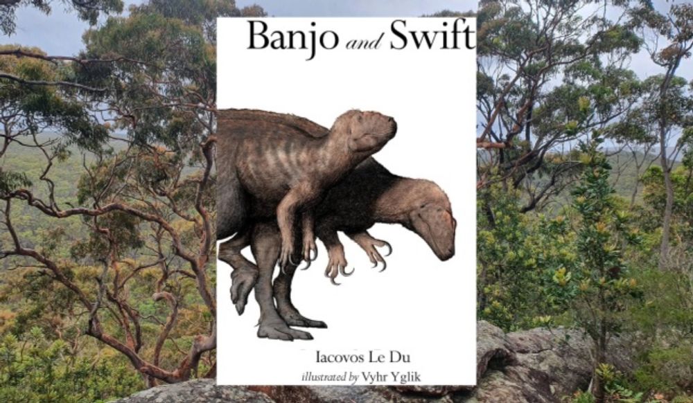 Banjo and Swift