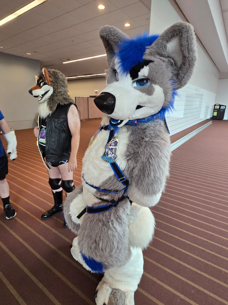 Picture of Dethbox wearing a full fursuit at Anthrocon 2025