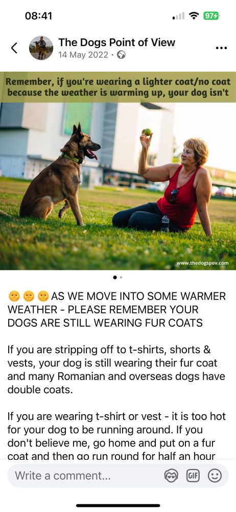 Describing danger to dog of walking in heat. Even at 20 C