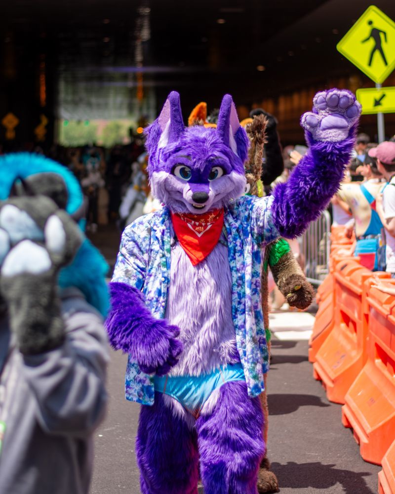 Niqnaq waving in the fursuit parade at Anthrocon 2025
