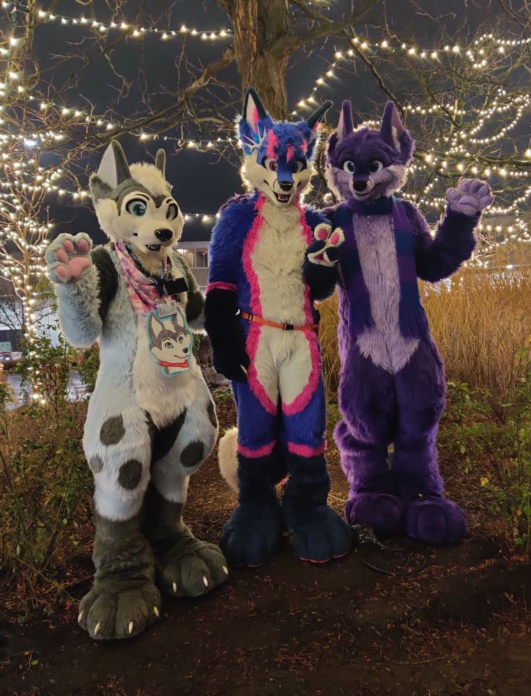 Group fursuit photo with holiday lights in the background