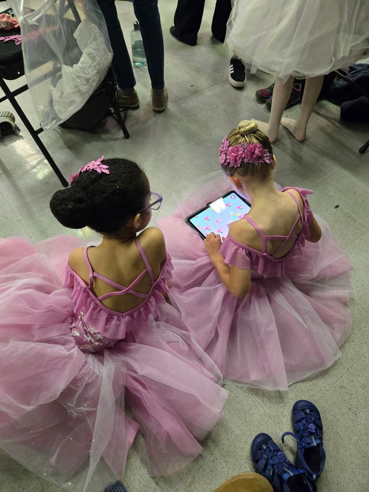 Photo of the back of two young girls sitting on the floor in sparkly pink tutus with pink flowers and lace in their hair. The one on the left has black hair and olive skin, the one on the right has blond hair and fair skin. 
