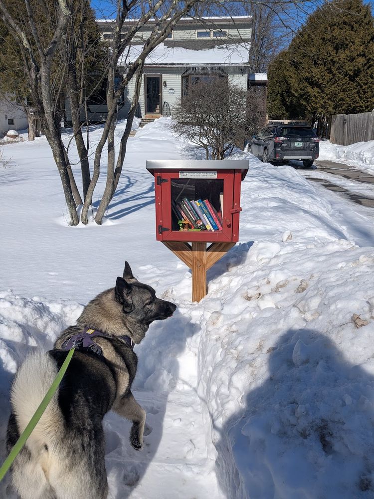 A zoomed out view, showcasing Ziggy, my roommates Norwegian Elk Hound, among the fluffiest of all companions a winter walker could need.