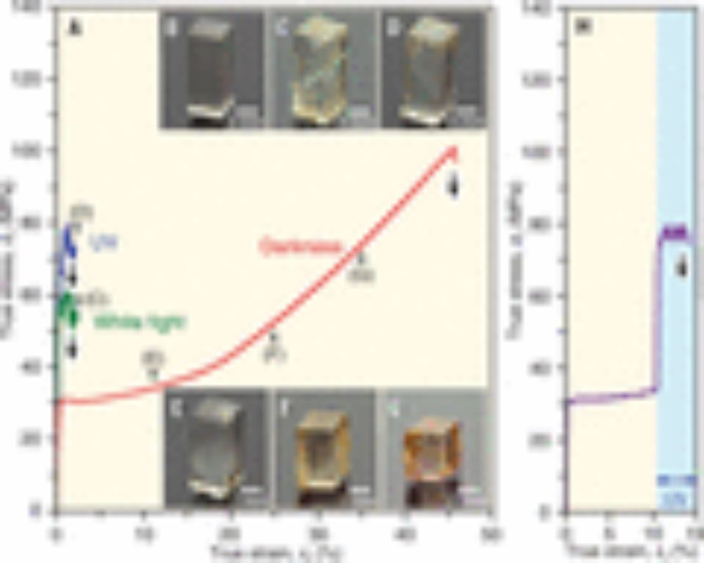 Extraordinary plasticity of an inorganic semiconductor in darkness