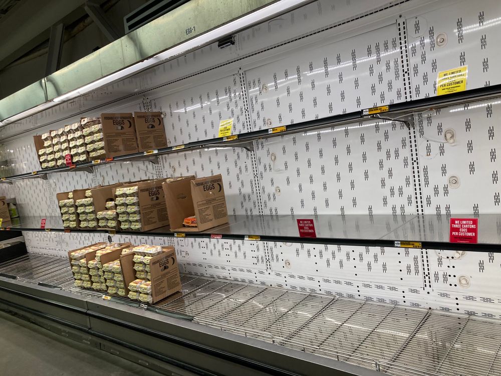 Empty egg shelves at a grocery store