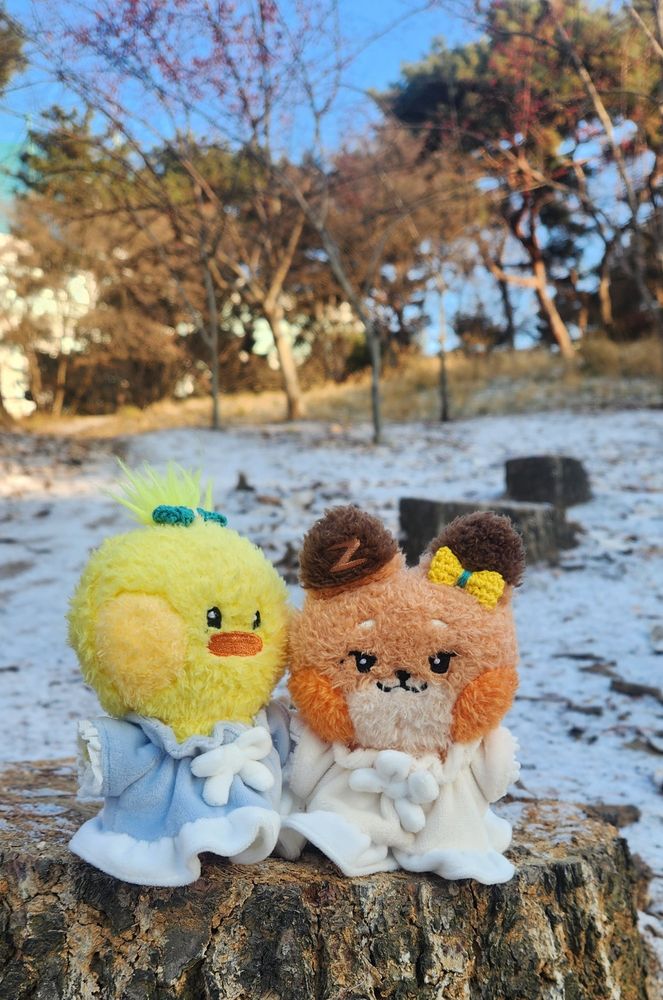 taenini and thewnini on a stump in the snow