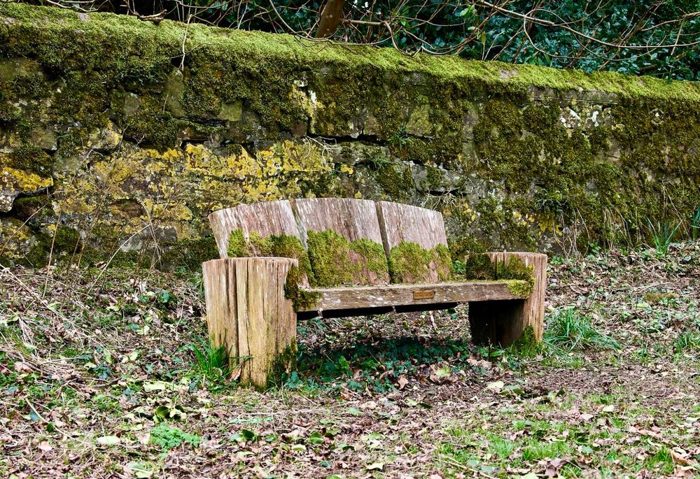 Bench