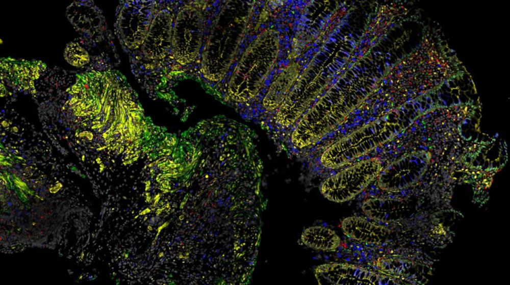 bioimaging analysis lab image