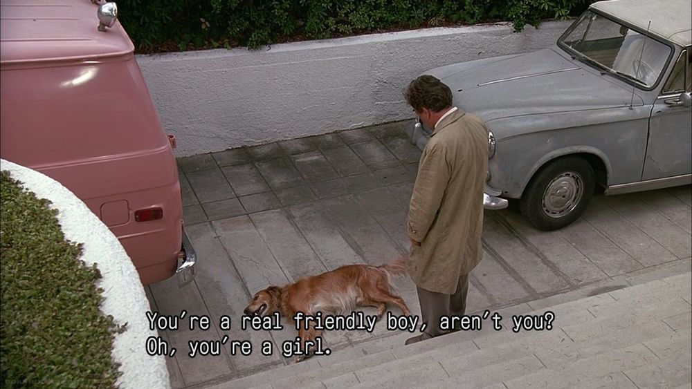 screenshot from the TV show Columbo. the titular character Columbo is shown standing at the edge of a driveway, looking down at golden retriever who is happily basking on the pavement in front of him. the subtitles read: "You're a real friendly boy, aren't you? Oh, you're a girl."