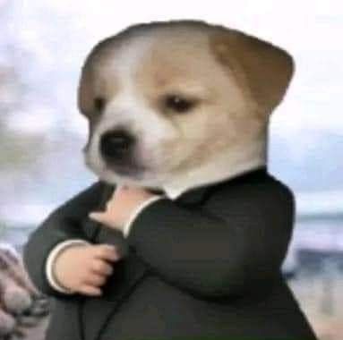Comment image
