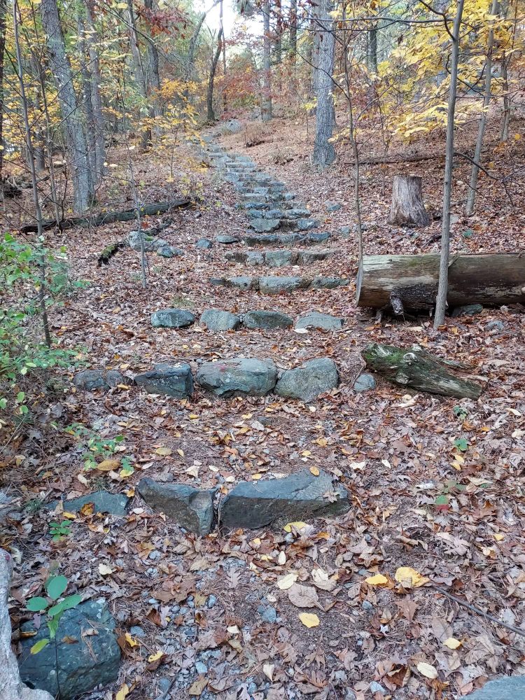 Stone stairs climbing above an access road on the south side of Prospect Hill.