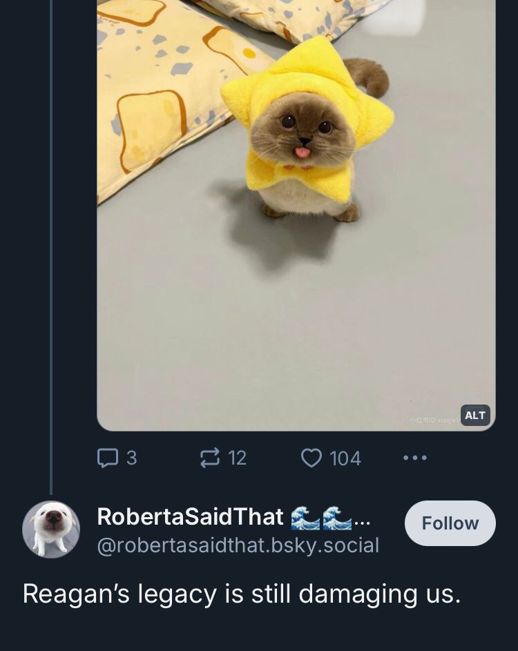 reply to a cute cat picture that says “Reagan’s legacy is still damaging us.” 