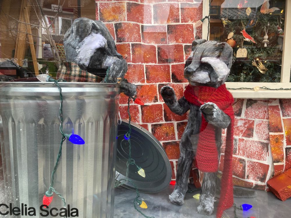A pair of raccoons, wrapped in winter scarves, digging a string of lights out of a galvanized steel garbage can.