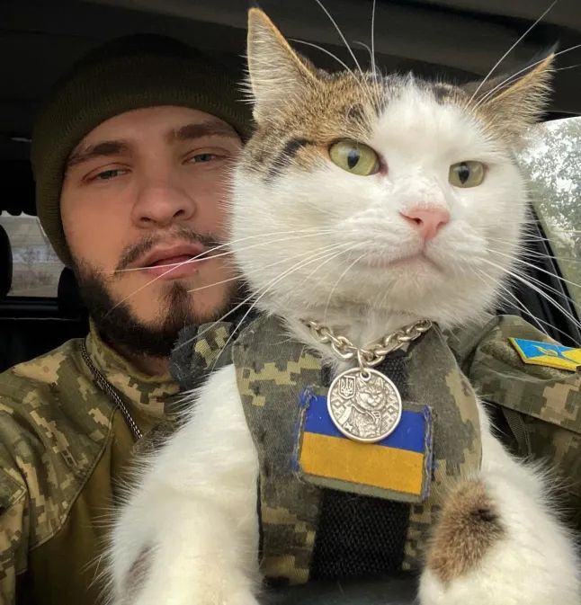 Ukrainian feline fighter raises money for the war effort. 