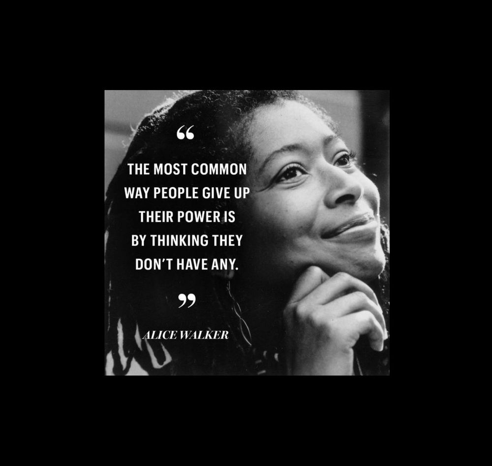 “The most common way people give up their power is by thinking they don’t have any”. - Alice Walker