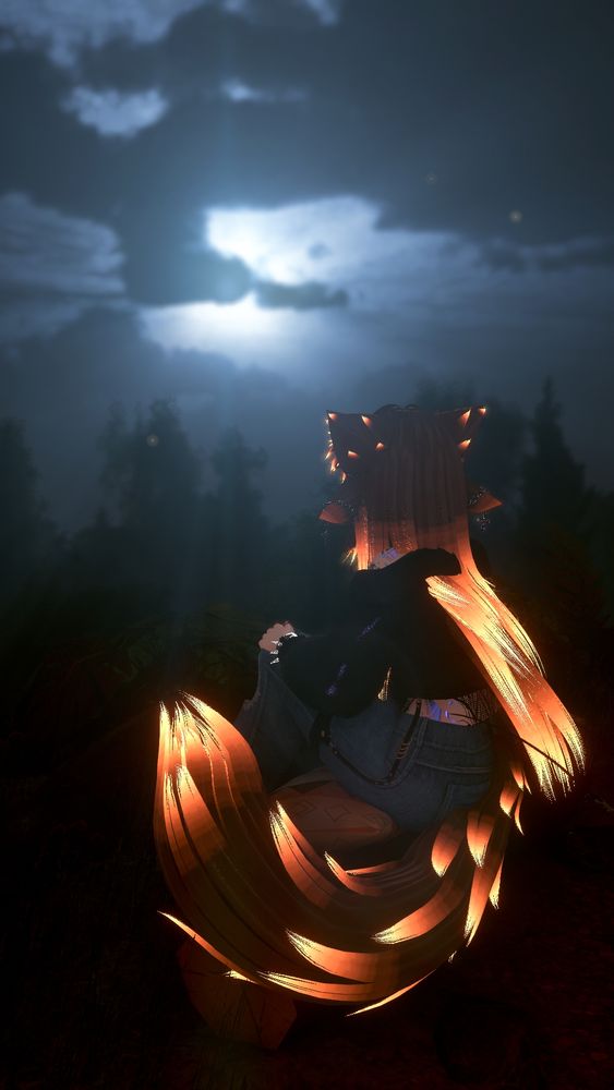 Sitting on a log outside, tail curled up to my side. Gazing into the stary, moonlit night sky. Trees fill the horizon. A spectacular view.