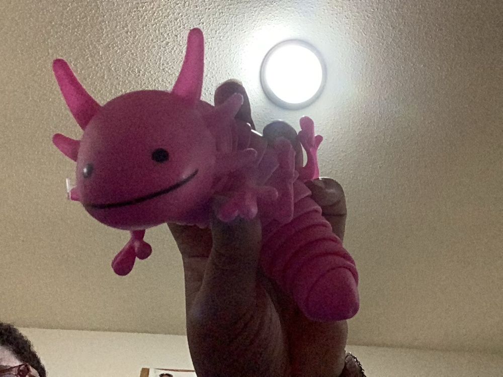 Picture of me holding up a pink wiggly axolotl stim toy 