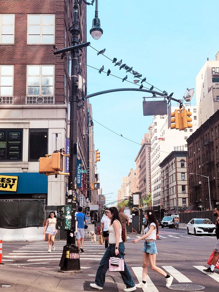 Daytime scene on a busy street in a large city on a warm and sunny summer day; many pedestrians, likely doing their Sunday shopping in this popular retail area, are crossing the street in all directions as cars wait at the traffic light; above the crosswalk and intersection, the arm of the lamppost that holds the traffic signal is lined with about thirty perching pigeons basking in the sun and, some would say, awaiting their next "victim" in an unsuspecting passer-by below; the street is lined in all directions with large buildings, in a variety of styles and vintages - some of which have noticeable signs, like Staples and Best Buy.
