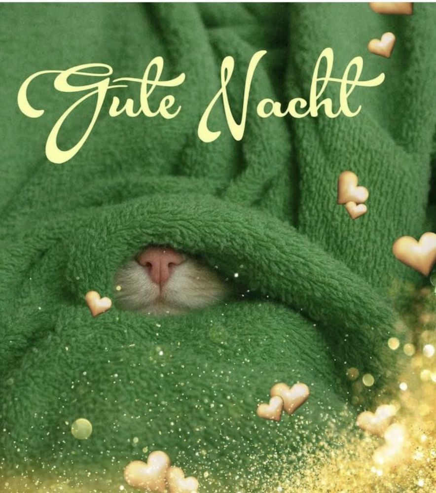 Unter einer grünen Decke schaut eine Katzennase hervor! Gute Nacht!