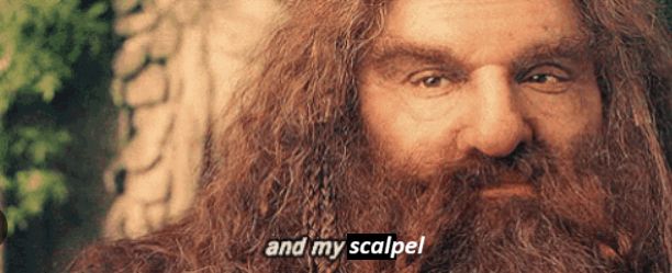 Screencap from Lord of the Rings showing Gimli with subtitles "and my axe" edited to say "and my scalpel"