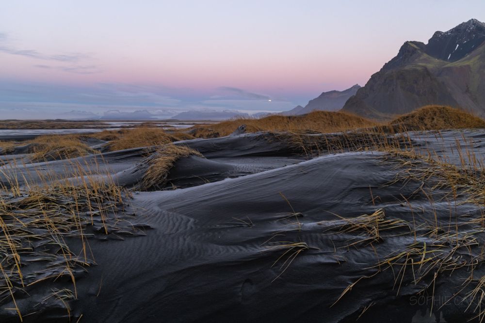 A black sand beach has some dunes with ripples on them as well as yellow grasses, with some light frost on the sand. In the distance is a big mountain on the right and behind some other mountains and glaciers are just visible. There is a blue and pink glow above the mountains from the earth's shadow as it is opposite the rising sun. The nearly-full moon can just be seen setting behind a cloud above the horizon.