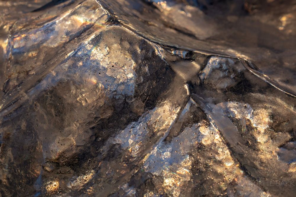Close up of the surface of an iceberg, which looks golden in the sunrise light.