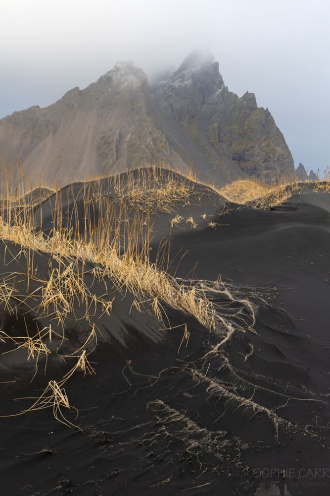 Black sand dunes with some yellow/orange grasses. Behind are some mountain peaks with the top under some cloud.