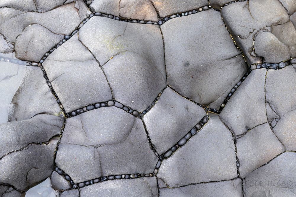 Some grey eroded smooth basalt column tops on a beach, with neat lines of pebbles squeezed into the gaps between them (by the force of waves during high tides). The pebbles are wedged in tightly, but each time I visit some of the pebbles are different - they get swapped out.