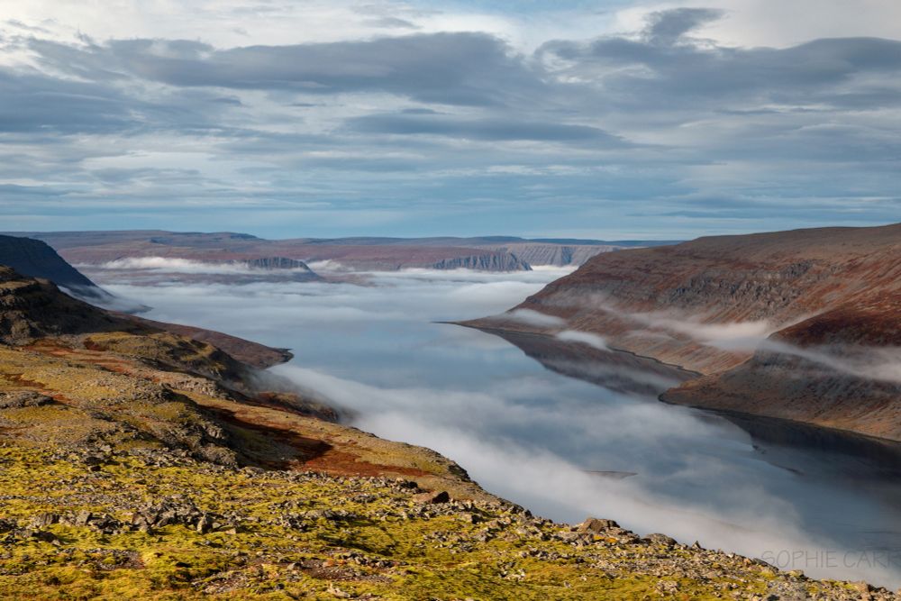 Golden hour sun on a hillside overlooking a fjord filled with fog. Rather surreal with an opposite hillside reflected in the fjord. Grey clouds above.