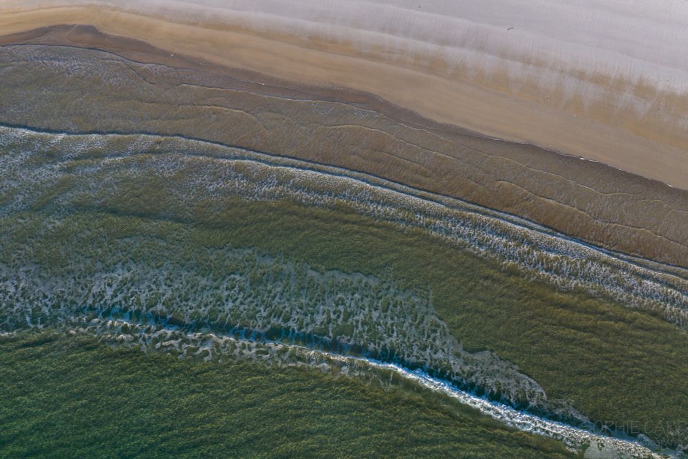 A drone view looking straight down as some green sea with layers of small waves breaking on the white sand beach. The sand is a little yellowy-orange where it is wet, but is white from frost at the top of the picture.