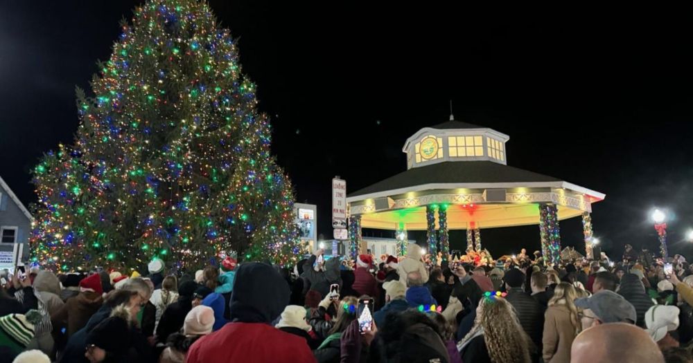 The City of Rehoboth Beach is officially looking for a large evergreen to serve as the 2025 community Christmas tree. The donated tree will be placed at the Rehoboth Beach