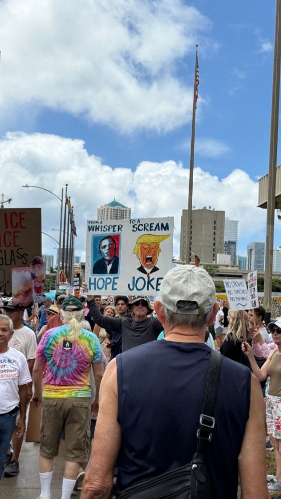 Protestors at the No Kings protest. 