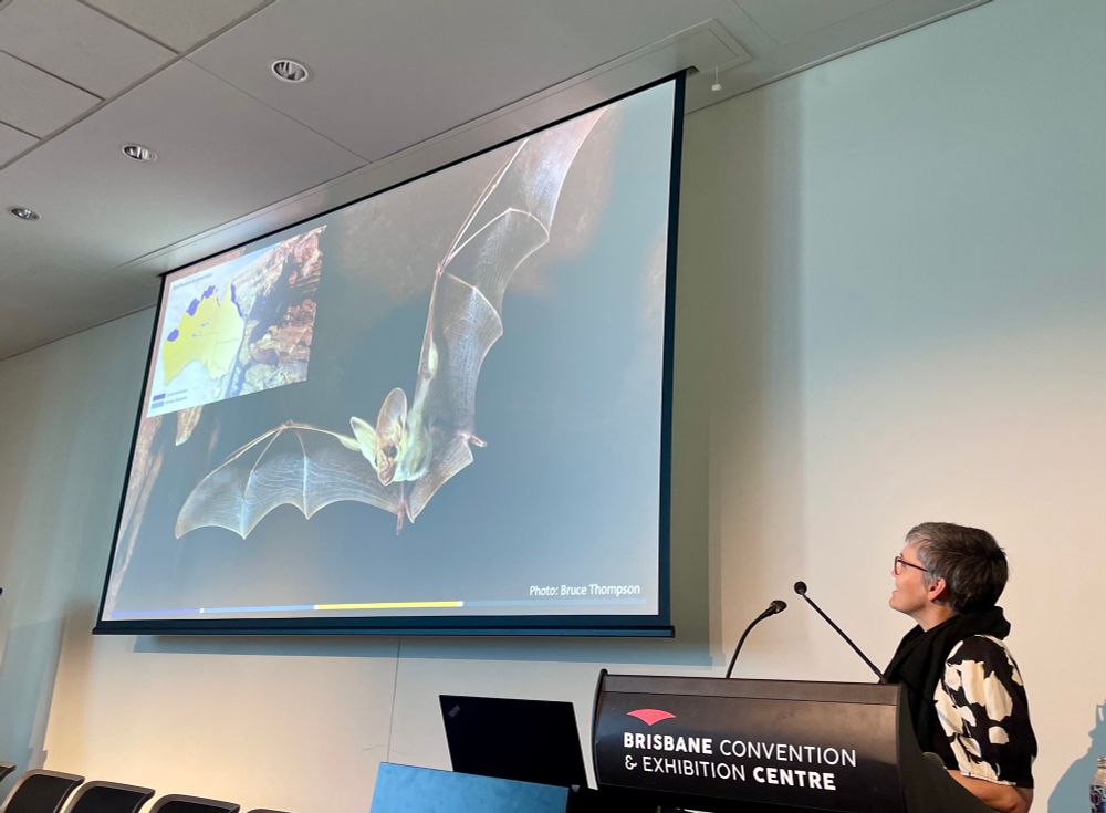 Kym Ottewell presenting a slide featuring a large photo of a ghost bat