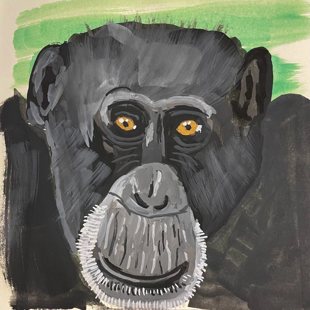 Gesicht eines Schimpansen, quadratische Gouache Skizze mit grünem Hintergrund 