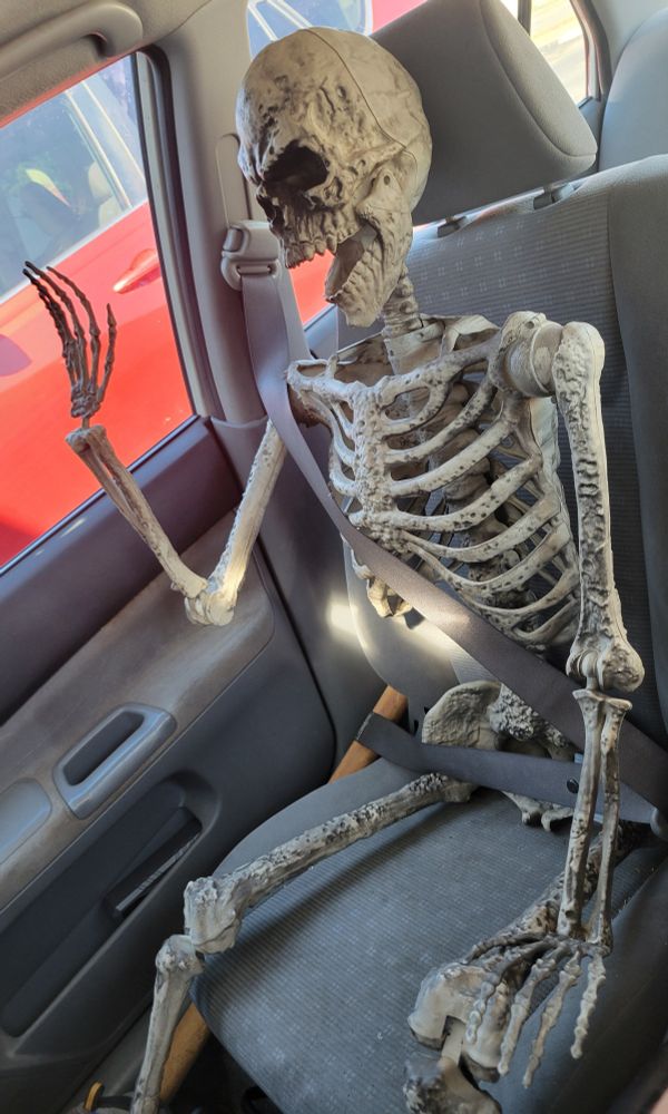 A plastic skeleton in the passenger seat of a car, wearing a seat belt, with its right arm and hand raised as if waving, left hand resting on left knee, and jaw hanging open (in a smile?). The eye sockets have unlit LEDs. 