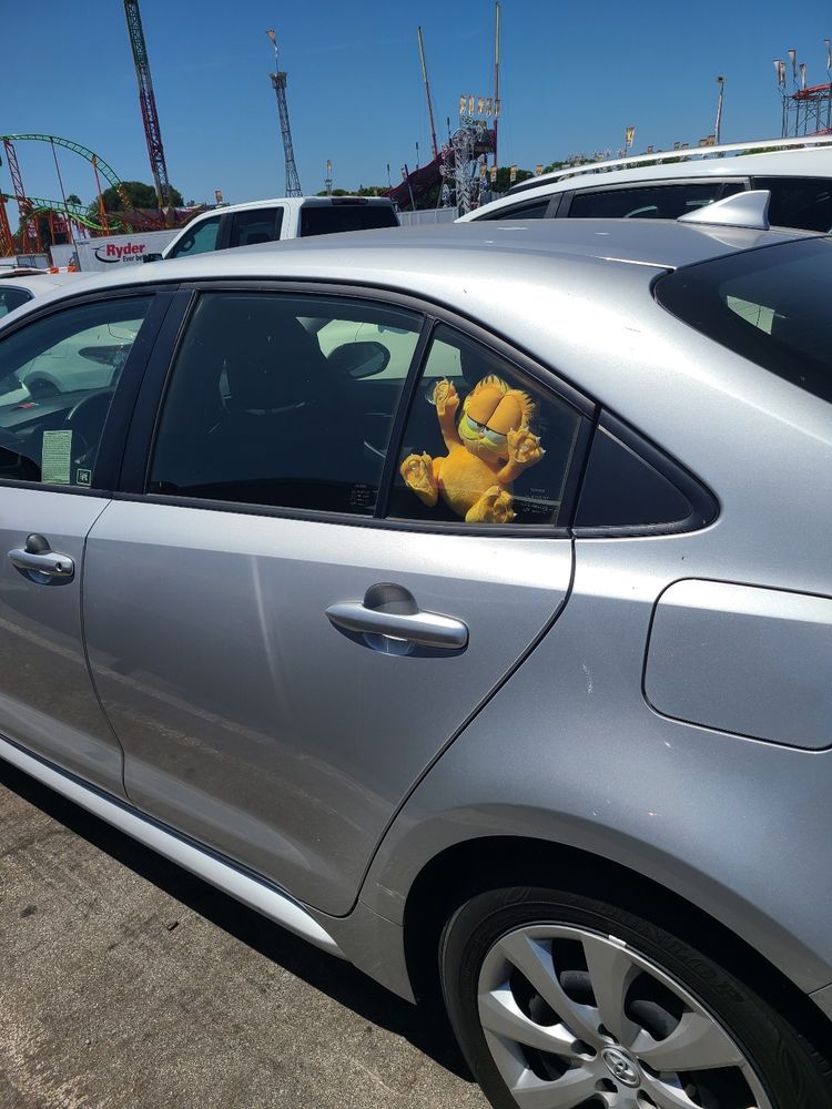 Garfield cat in car window
